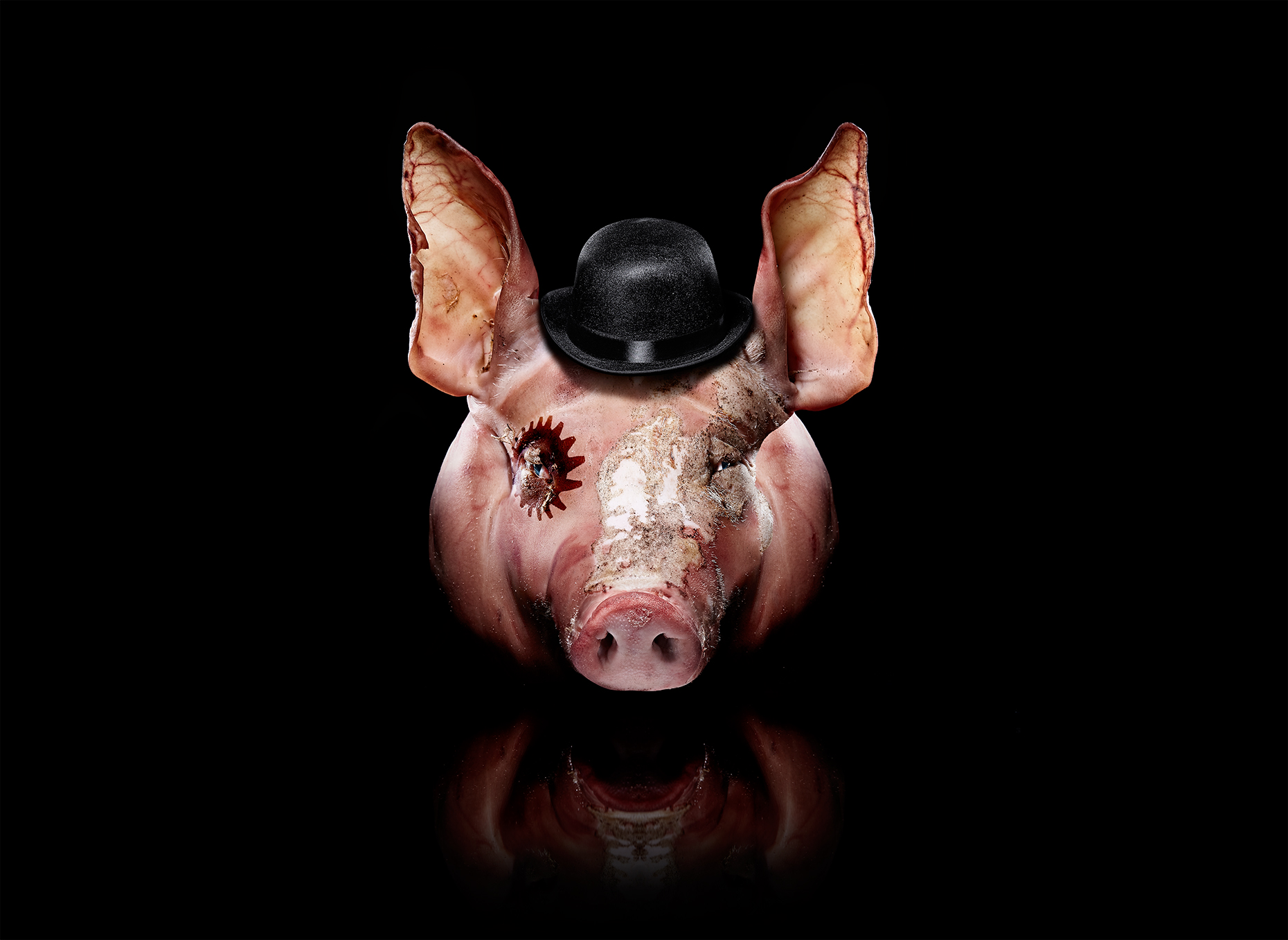 Clockwork Swine